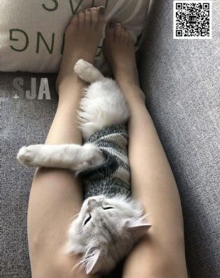 欧美优雅气质中筒高跟靴_1080P动漫在线观看
