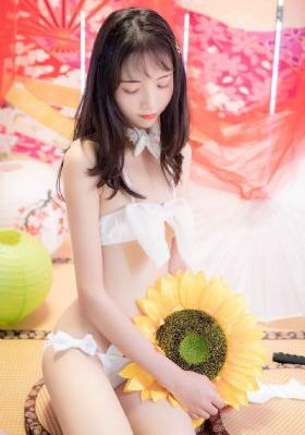 国产比较静音的轮胎_国产剧手机免费观看完整